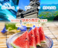 ECサイトの商品画像作成を行います イメージ1