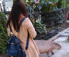 強迫性障害を完治した私が悩んでる方のお話を聞きます イメージ1