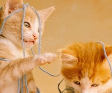 人に言いづらい悩みや愚痴、お聞き致します イメージ1
