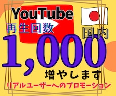YouTube国内再生回数1,000増やします イメージ1