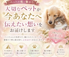 ペットの魂と繋がり今伝えたい想いをお届けします 「言葉はなくても、愛はちゃんと届いています。」