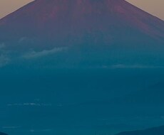 心の鎮痛剤 イメージ1