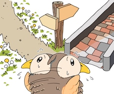 いま、転職すべきかどうか〈本格派・易〉で占います 【動く？待つ？】分岐点を見極めます｜易とタロットのダブル鑑定