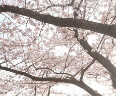小学校入学に向けての不安、ご相談にのります イメージ1