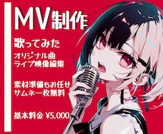 歌ってみた・オリジナル楽曲のMVを丁寧に制作します 世界観を大切にMV制作。エフェクト込み＆サムネ無料！