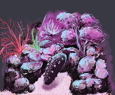 生き物を中心にデザインを描き納品します 背景や、飾って頂く用の絵を描きます。