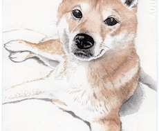 ペットの肖像、リアル似顔絵を原画に描きます 「はがき大」の原画取引のみで、お願いします。