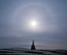 ひとつ、目覚め、気づき、についてシェアします イメージ1