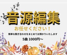 簡単な音源編集いたします イメージ1