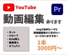 あなたの動画編集します イメージ1
