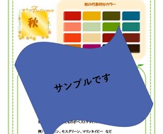 お写真なしで！パーソナルカラー診断いたします パーソナルカラー診断でのお写真添付に抵抗のある方へ