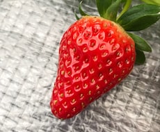 愚痴、全部お聞きします 嬉しい話し、大変な話しなんでもOK