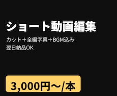 翌日納品可◎縦型ショート動画を字幕付きで編集します イメージ1