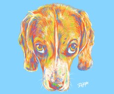 ペットをカラフルに描きます イメージ1
