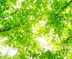 ワンコインで専属カウンセラーになります イメージ1