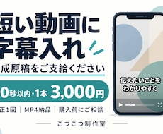 完成原稿から60秒以内の動画に字幕を入れます イメージ1