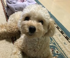 保育園の園長が教えるー自信のある子、考えられる子にする方法 イメージ1