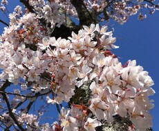 あなたの寂しさお埋めいたします イメージ1