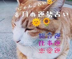 にゃんこ占いでみる8月の運勢＊ほっこり占います 心がふっと軽くなるような、8月の運勢をお届けするにゃよ