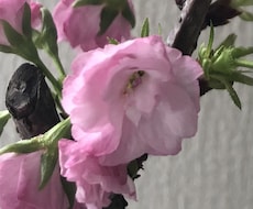 お家に着くまでお話相手します イメージ1