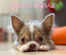 何でも聴きます イメージ1