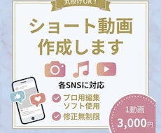 丸投げOK！ショート動画を安さ重視で編集します イメージ1