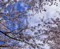 色々な経験の元、いい方向へのアドバイスを致します イメージ1