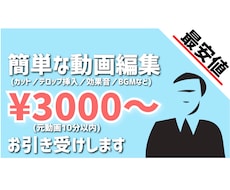 ココナラ最安値でYouTube用の動画編集をします イメージ1