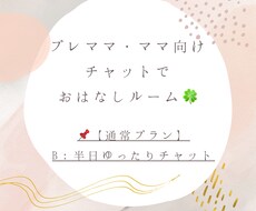 通常プランB：半日ゆったりチャットします イメージ1