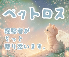 ペットロスの涙　看病の苦悩　経験者が寄り添います イメージ1