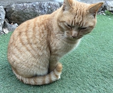 何でも話して下さい！聞いて欲しい気持ち受け止めます イメージ1