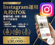 Instagramを1ヶ月運用代行します 各SNSに強い総販売1000件超の運用チーム