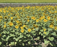 誰にも言えない愚痴ききます イメージ1