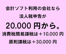 東京の税理士法人が法人税・消費税を電子申告します 満枠でも対応！セルフ方式適正価格の法人税・地方税・消費税申告