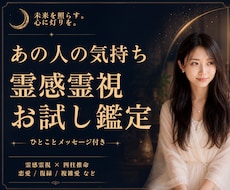 初回お試し｜霊視でお相手の気持ちと次の一手を視ます 24h以内♪約800字♪ 復縁/不倫/遠距離/失恋/片想い