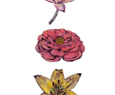 店舗装飾に実績あり＊手描きの植物イラスト描きます カフェのガラス面装飾など商業実績のある繊細な手描きペン画