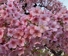 何でも、お話お聞きします イメージ1