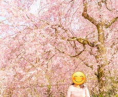自然体プロフィール撮影(30分)します 会話しながら自然に撮影します。