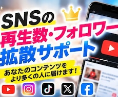 SNS拡散であなたの投稿を届けるお手伝いをします イメージ1