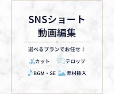 リール動画、ショート動画作成いたします イメージ1
