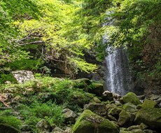 大切な方を亡くした気持ち、聞きます イメージ1