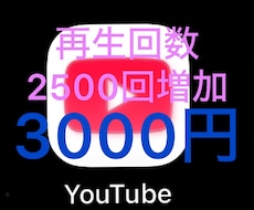 YouTube再生回数2500回増やします イメージ1