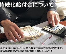 持続化給付金についてアドバイスします コロナによる売上減少した場合の保証について知りたい方必見