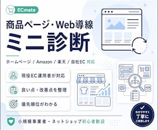 商品ページ・Web導線の改善点をミニ診断します イメージ1
