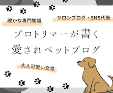 プロが執筆！ペットサロンブログやSNSを代筆します イメージ1