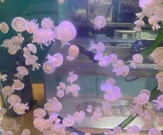 恋愛♥️、悩み相談、愚痴などなんでも聞きます イメージ1
