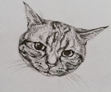 デッサンの描き方、モノの見方を教えます デッサンの上達のサポートを行います