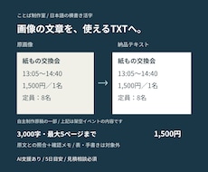 画像とPDFの活字をテキスト化します イメージ1