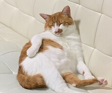心の悩みを受け止めます イメージ1