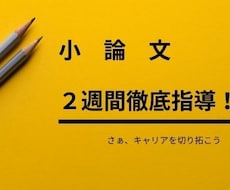 ２週間小論文対策！書く悩みの解消をします 小論文受験の戦略と戦術を伝授し書き方指導・質問対応します！